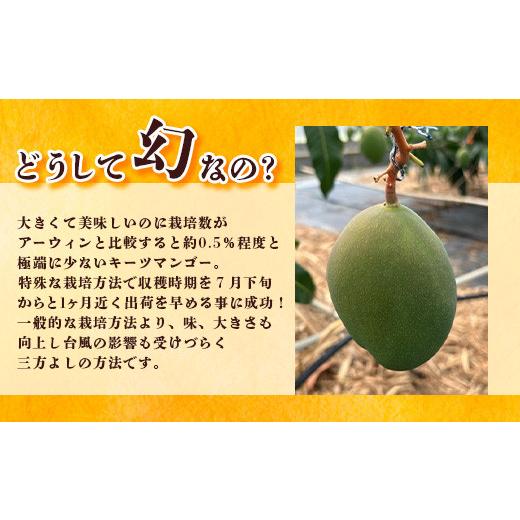 ふるさと納税 沖縄県 石垣市 《2024年6月下旬〜7月下旬発送》最高糖度23度！？ 完熟！7Lサイズ お得な幻のキーツマンゴー【 沖縄 石垣島 石垣 八重…