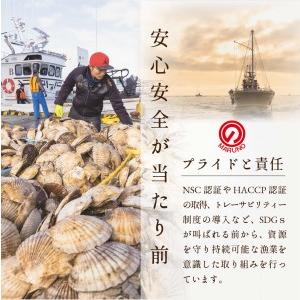 ふるさと納税  北海道 野付産 漁協直送 冷凍ホタテ 貝柱大粒ホタテ500ｇ be018-0055-100-4 （ ほたてホタテ 帆立 貝柱 玉冷 .. 北海道別海町