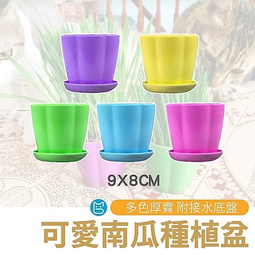 《小貓亂亂買》南瓜種植盆 花盆 種植盆 貓草種植盆 南瓜盆 3吋盆 3寸盆 花盆 盆栽