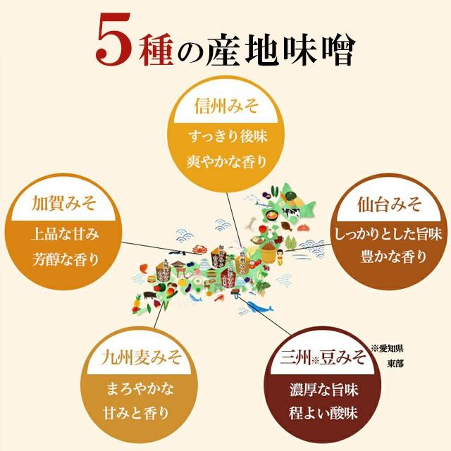 人気 味噌汁100食セット 産地のみそ汁めぐり60食＋5種の野菜を味わう味噌汁40食 送料無料 即席 ひかり味噌  即席味噌汁 福袋