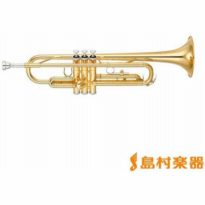 可愛いクリスマスツリーやギフトが トランペット用 トリプルハードケース シルバー Blt 301tsx Protec トランペット Www Mayautos Com