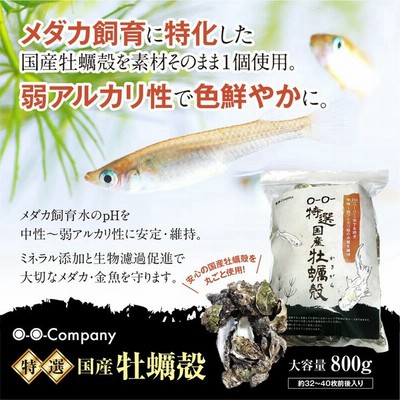 メダカ 金魚の通販 1 671件の検索結果 Lineショッピング