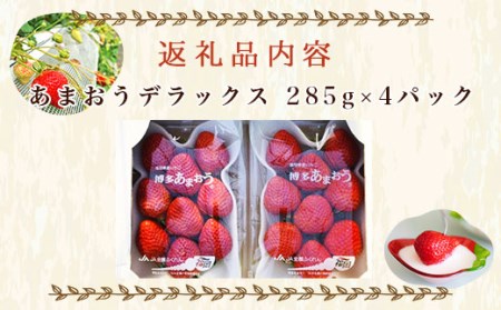 あまおうデラックス（4パック）先行予約※2024年2月上旬から4月上旬にかけて順次出荷予定　MY002