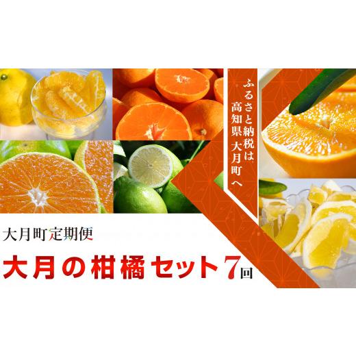 ふるさと納税 高知県 大月町 大月町の柑橘セット 計7回
