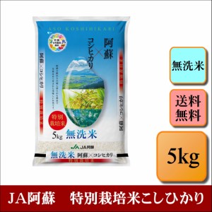 新米　無洗米　令和５年産　ＪＡ阿蘇　特別栽培米こしひかり　5kg　米　お米　おこめ　白米　精米　