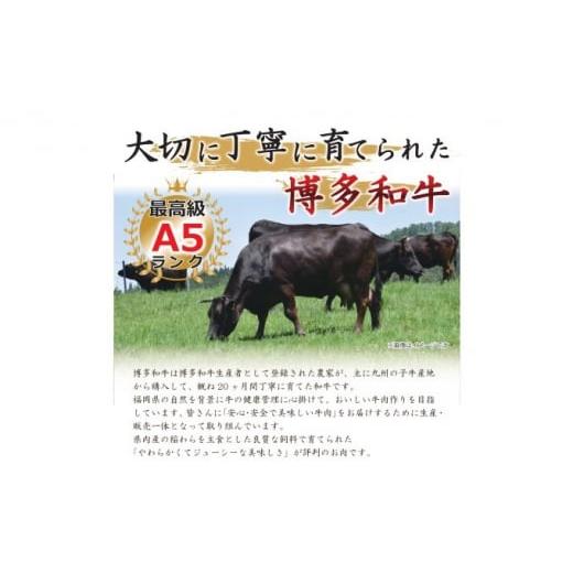 ふるさと納税 福岡県 朝倉市 定期便 6ヶ月 牛肉 サーロイン ステーキ 合計1000g 博多和牛 A4〜A5（250g×4枚）セット 6回 配送不可：離島