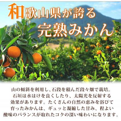 ふるさと納税 湯浅町 完熟 有田みかん　主に2Lサイズ　10kg