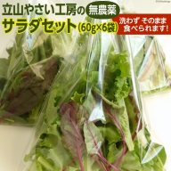 立山やさい工房のサラダセット（60g×6袋）＜ホッコ 商事＞