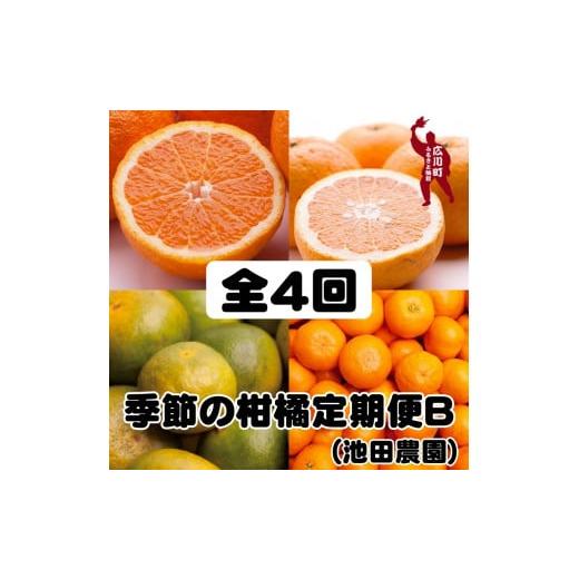 ふるさと納税 和歌山県 広川町 季節の柑橘定期便B※北海道・沖縄・離島への配送不可 ／ 定期便 フルーツ  みかん はっさく 清見 せ…