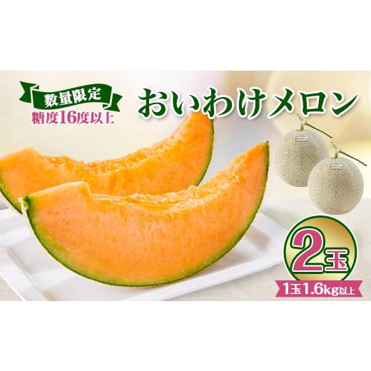 ふるさと納税 北海道 安平町 ＜数量限定＞ おいわけメロン 糖度16度以上　1.6kg以上×2玉入