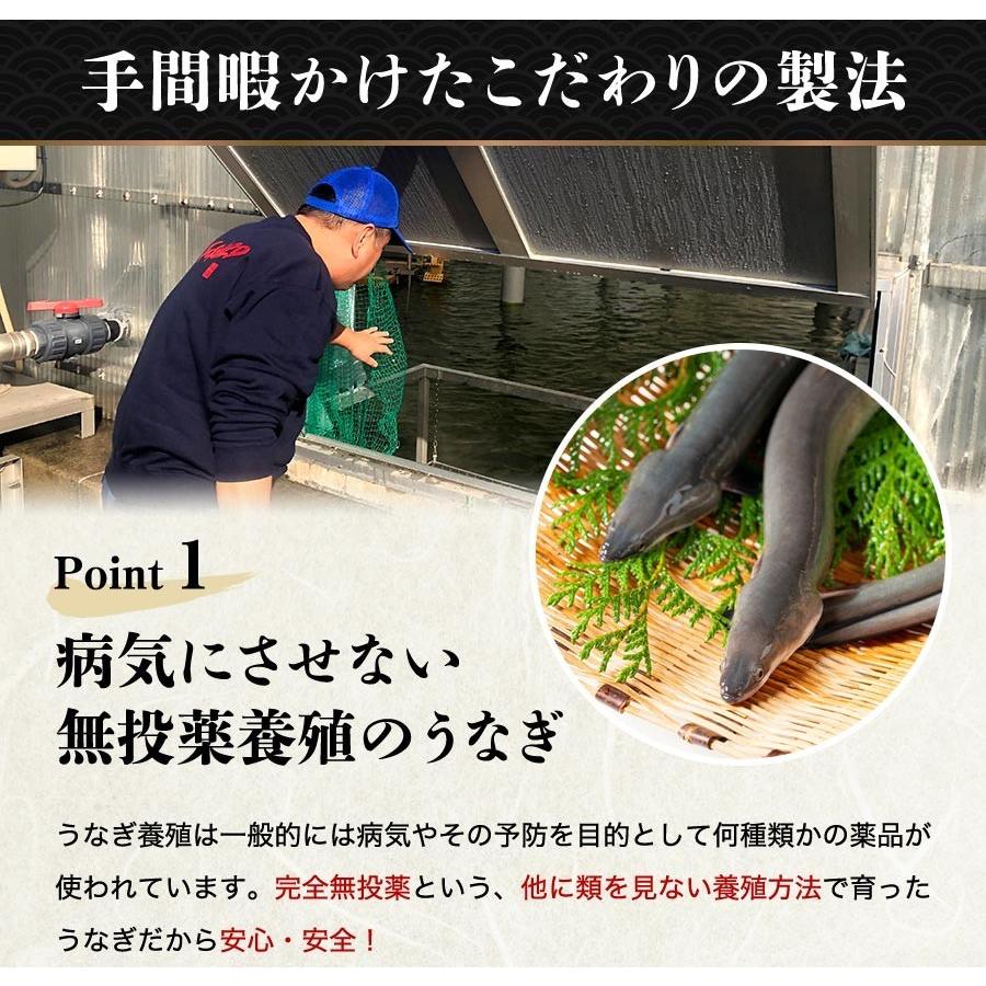 うなぎ 蒲焼き 鰻 国産 無投薬 約180g×2尾 2本 特大 風呂敷包み ウナギ かば焼き タレ 冷凍便 ギフト お取り寄せ