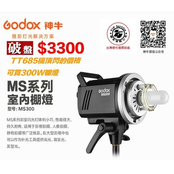 【eYe攝影】公司貨 GODOX 神牛 MS300 棚燈 閃光燈 攝影燈 室內棚燈 商品攝影 婚紗 人像棚拍 110V