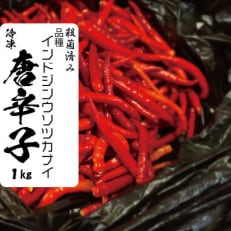 唐辛子(品種:インドジンウソツカナイ)1kg