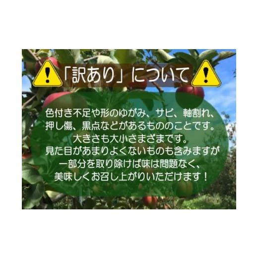 ふるさと納税 長野県 中野市 サンふじ 訳あり(7-14玉) 約3kg 中野市産 11月中旬頃発送開始予定