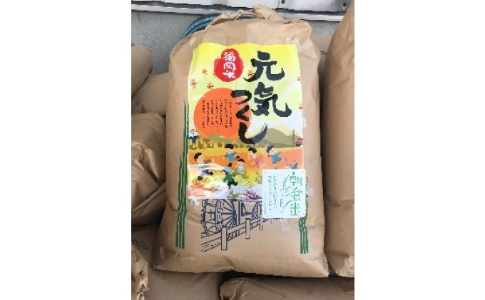 「元気つくし」玄米30kg