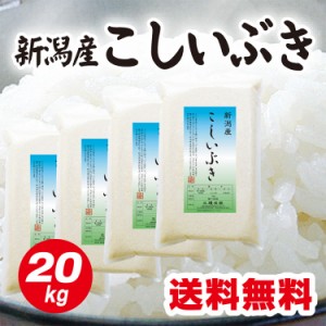 米  令和5年産 新潟産 こしいぶき 20ｋｇ （5kg×4） お米 備蓄 白米