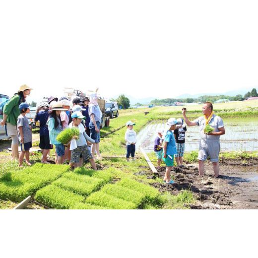 ふるさと納税 岩手県 雫石町 新米 農薬使用回数限定 あきたこまち 玄米 10kg  ／ 米