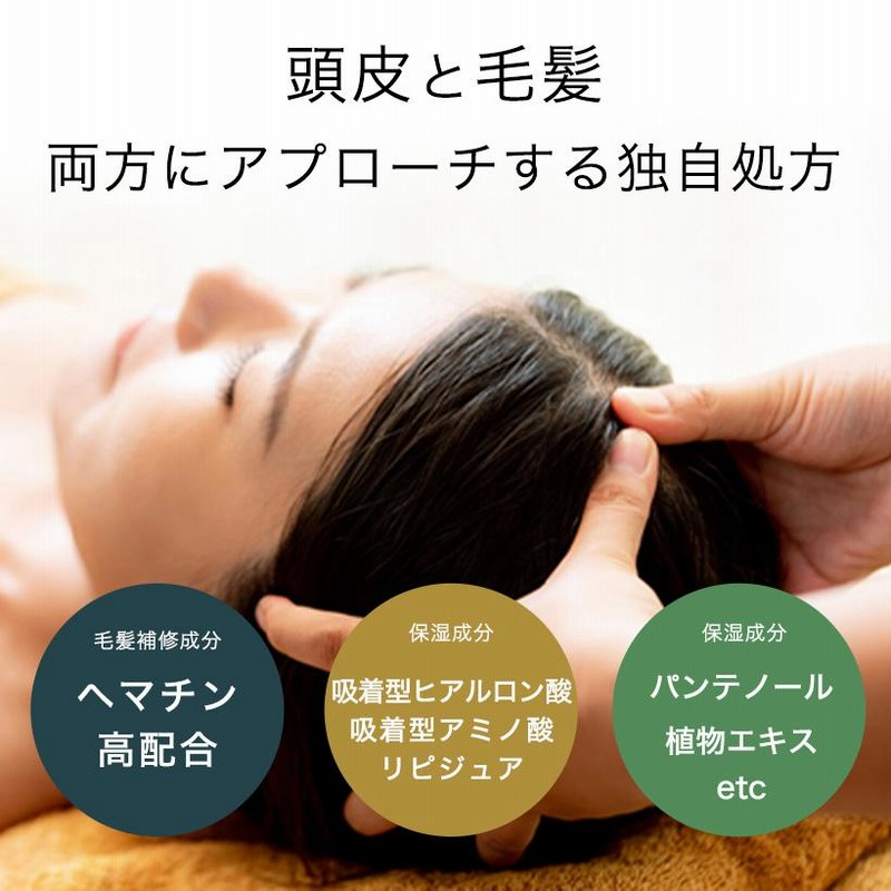 2本セット】ヘマチン 美容液 ブラックヘアリペアセラム 155ml