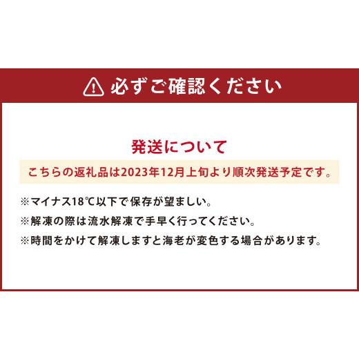 ふるさと納税 熊本県 上天草市 天草産 活〆冷凍 車海老 500g(特大)