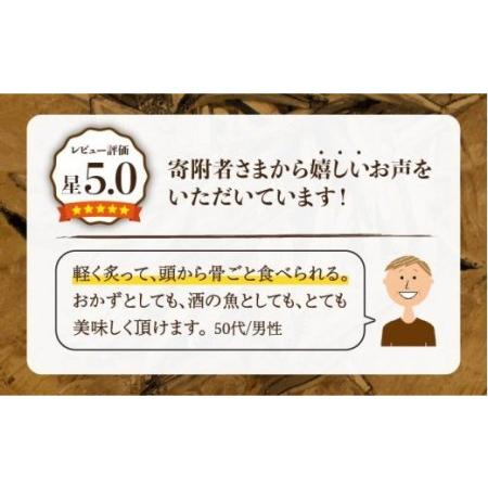 ふるさと納税 きびなご一夜干し130g×10袋 魚 おつまみ 小分け 干物 カルシウム 五島市 奈留町漁業 [PAT010] 長崎県五島市