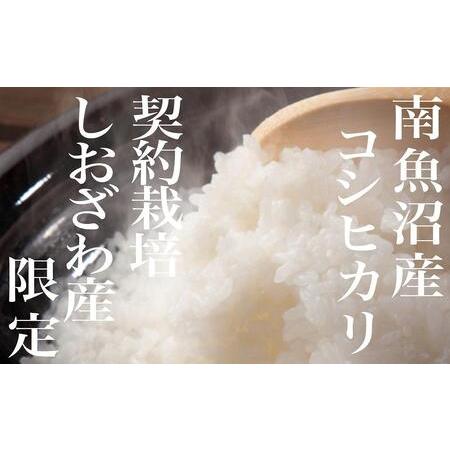 ふるさと納税 生産地限定 契約栽培 南魚沼しおざわ産コシヒカリ20Kg×9ヶ月 新潟県南魚沼市