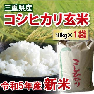 コシヒカリ 玄米 30kg 令和5年産 新米 三重県産  こしひかり 米 コメ お米 30キロ