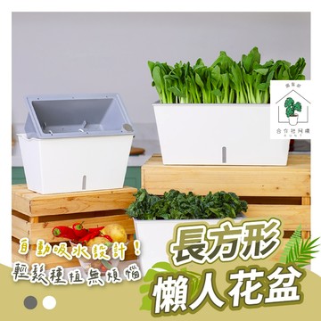 【台灣現貨 免運】懶人花盆 懶人盆栽 盆栽 大號 控根盆 盆栽容器 花盆 植物盆栽 塑膠盆 塑膠花盆 透明花盆 種菜盆