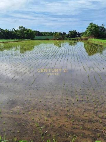 楊梅近三元宮大面寬美田｜桃園市楊梅區楊富段
