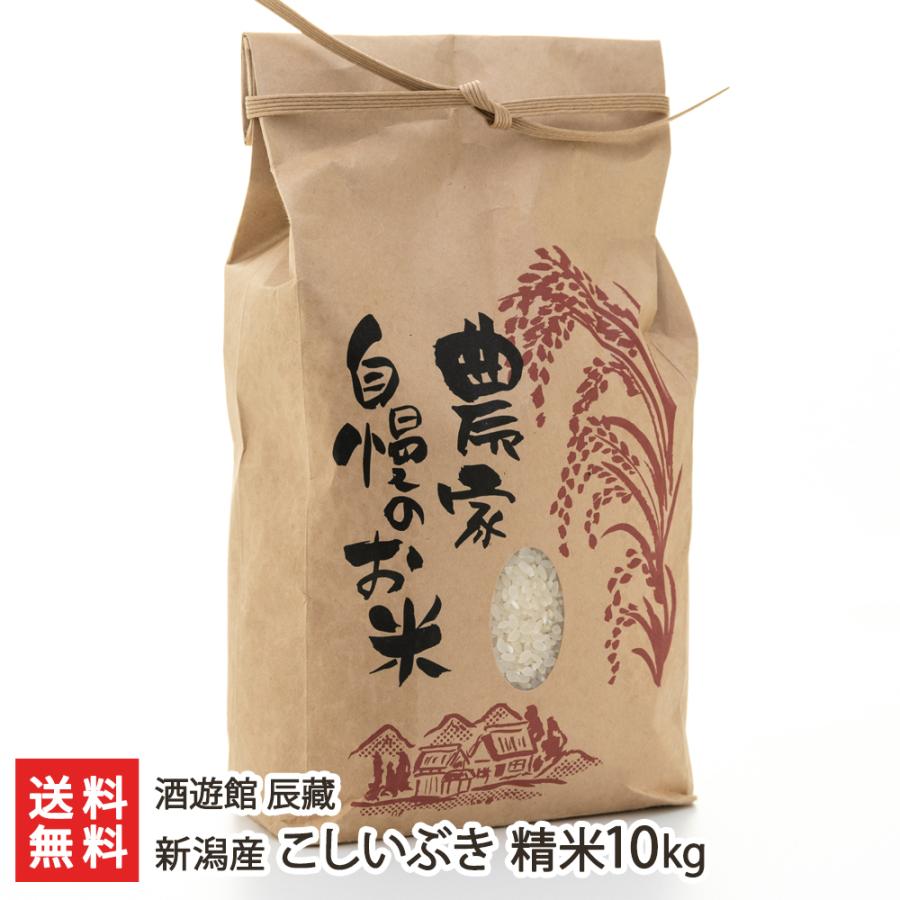 新潟産こしいぶき 精米10kg 酒遊館 辰藏 送料無料