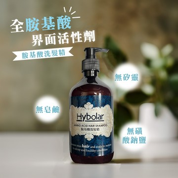 胺基酸洗髮精 500ml 頭皮調理 從 洗髮乳 清潔 頭皮 開始 這款 洗髮精 是低泡的 控油洗髮精