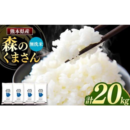 ふるさと納税 熊本県 玉名市 森のくまさん 無洗米 20kg 5kg×4袋