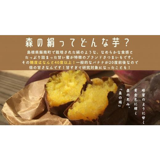 ふるさと納税 島根県 飯南町 高糖度サツマイモ「森の絹」生イモ10kg