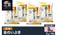 令和5年産 金のいぶき 8kg(2kg×4袋)