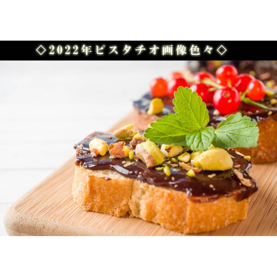 ピスタチオパウダー 生タイプ 1kg（500g×2個） 無添加 無油 無着色 砂糖不使用  アメリカ産 薄皮入り ピスタチオ お菓子 ピスタチオプードル  ナッツ