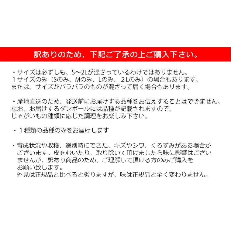 お歳暮 出荷開始中 新じゃがいも いも イモ 送料無料 訳あり 北海道産じゃがいも （10kg）   御歳暮 新じゃが 10ｋｇ ジャガイモ 北海道 新鮮直送 とうや