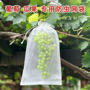 防鳥袋防蟲網袋草莓葡萄無花果防鳥紗網防鳥罩桃子保護袋防鳥神器