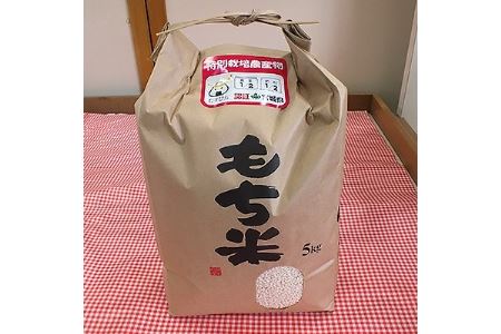 宮城県川崎町産・みやこがね　もち米(精米)5kg