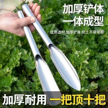 臺灣有貨⚡一體不銹鋼剷子園藝種花種菜工具挖土挖野菜鐵剷文創其他文化用品 DLZC