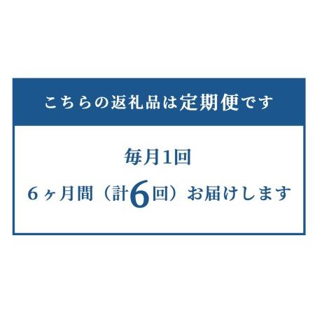 ふるさと納税 白米 10kg 令和5年産 あきたこまち 岡山 「おおがや米」生産組合 G-bg-CCZA 岡山県西粟倉村