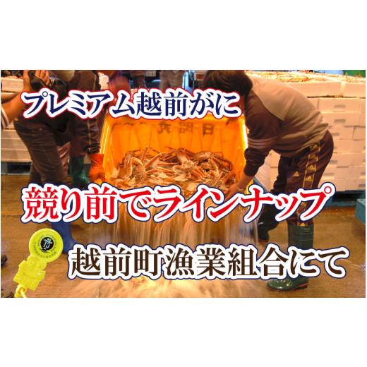 ふるさと納税 福井県 越前町 越前がに本場の越前町からお届け！ 越前がに × 1杯（二番蟹）究極のプレミアム越前がに【福井県 越前町 雄 ズワ…