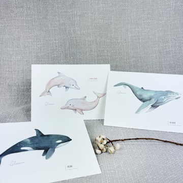 | 微光Ocean | 插畫明信片_海洋生物系列