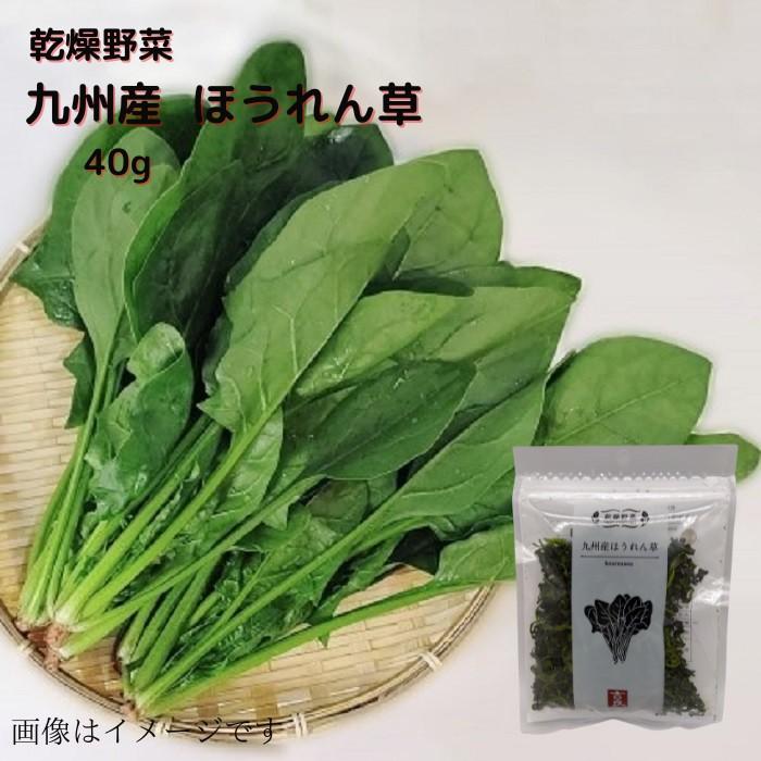 乾燥野菜 九州産 ほうれん草 40ｇ 送料無料  長期保存 常温  乾燥 乾燥野菜 野菜 簡単便利 時短 ほうれん草