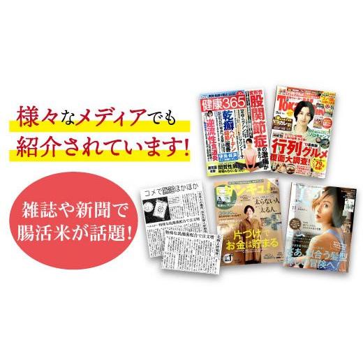 ふるさと納税 長崎県 波佐見町 特許製法の腸活米 2kg×12回 計24kg（ 無洗米 ） [VD03]