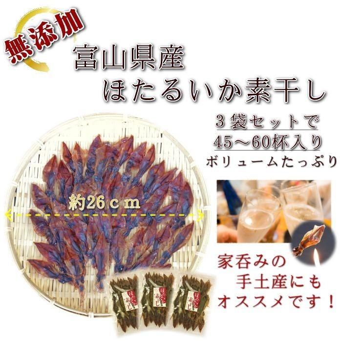 日本海産ほたるいか素干し 25g×3袋 おつまみ 酒の肴 珍味 お試し 食品 おすすめ メール便対応 送料無料 無添加 いか イカ ポイント消化