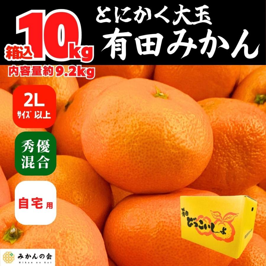 みかん  とにかく 大玉 箱込 10kg 内容量 9.2kg 2Lサイズ以上 秀品 優品 混合 有田みかん 和歌山県産 産地直送 家庭用