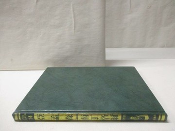 【書寶二手書T2／少年童書_O47】亞孟森/南丁格爾_世界兒童傳記文學全集14_附殼