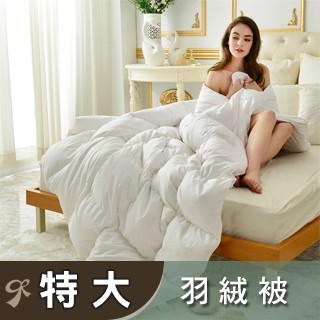 La Belle 義大利《德國水鳥羽絨冬被(95/5)》--特大