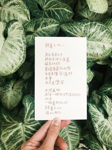 荒涼手記。歸屬之地 文字明信片 青青的島