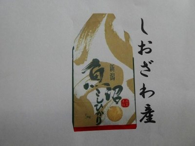 南魚沼産（しおざわ）こしひかり8割減農薬米精米５Kg×6回