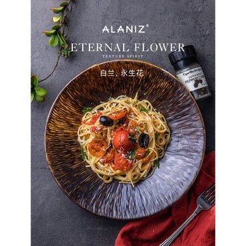 alaniz南茲白蘭褐色盤子菜盤家用斗笠盤餐廳湯盤深盤陶瓷西餐盤